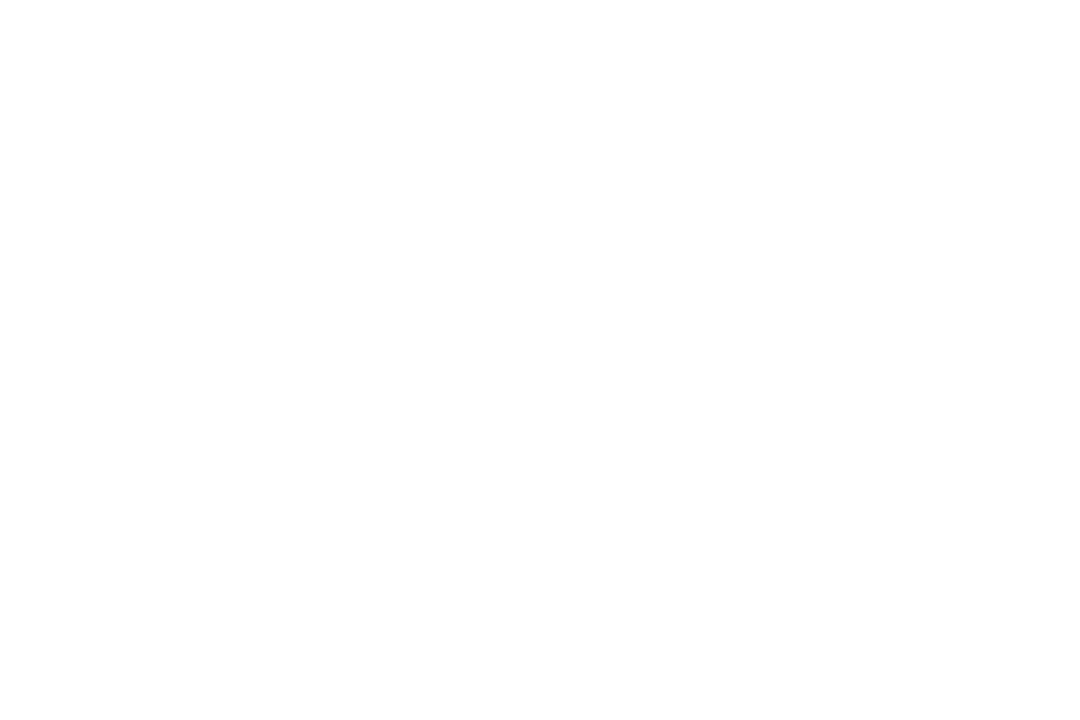 logo_morasol